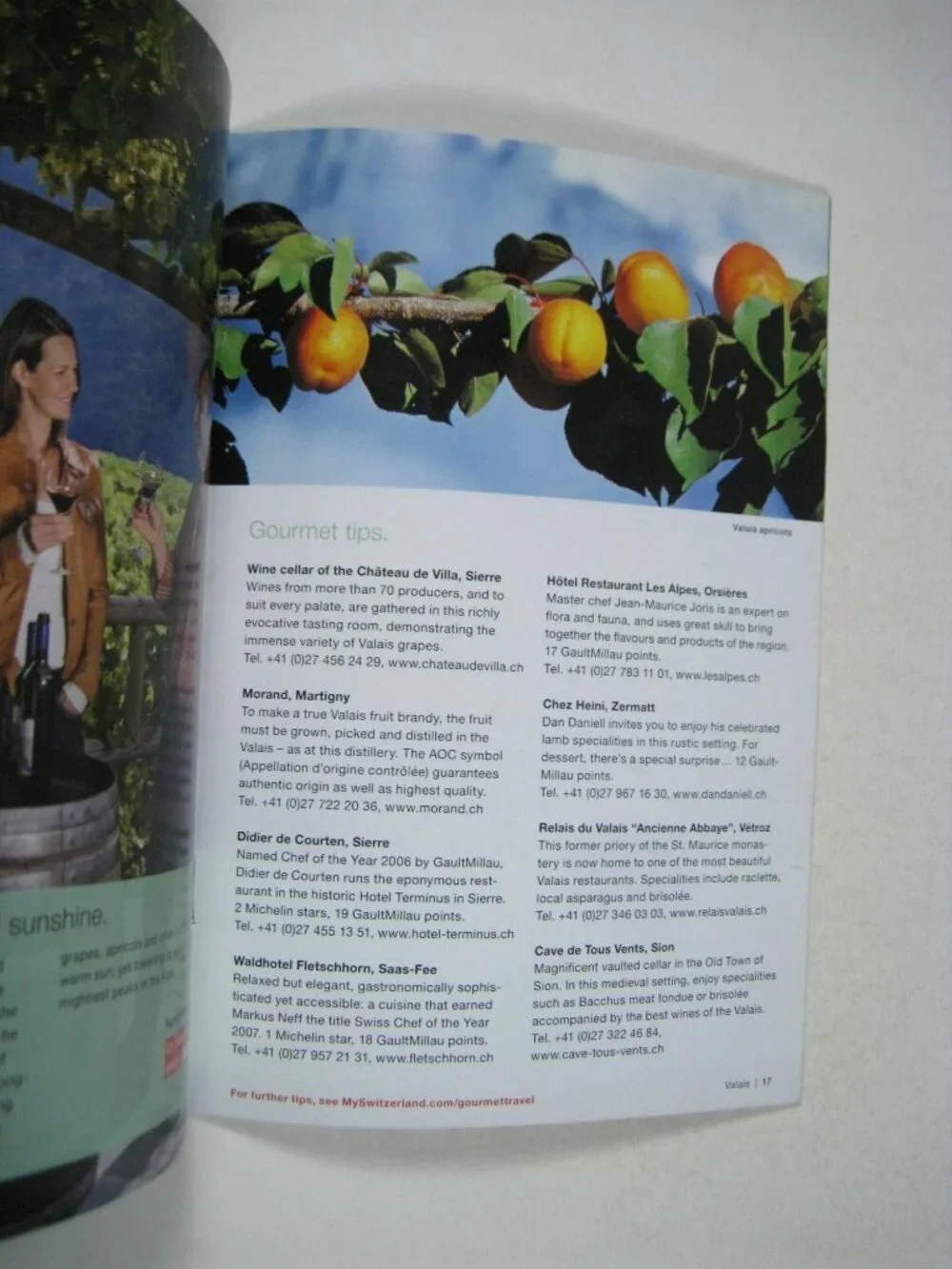 The Swiss Cookbook Betty Bossi Spiral Bound 2009 Recipes and Pamphlet